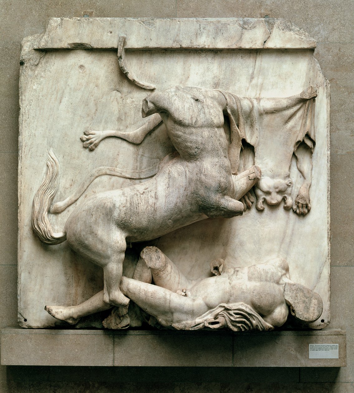 Centaur triumfujący nad Lapitem, metopa XXVIII z południowej strony Partenonu, 447-432 p.n.e. (marmur) autorstwa Greek