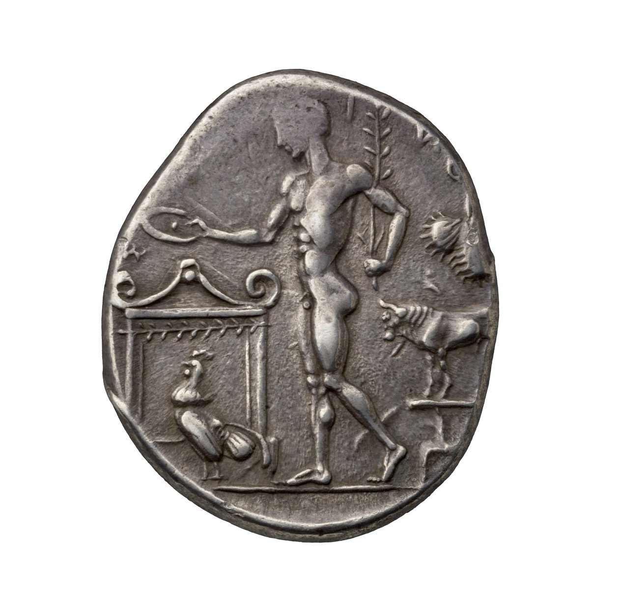 Starożytna grecka srebrna moneta z Selinusa, 450 p.n.e. (srebro) autorstwa Greek