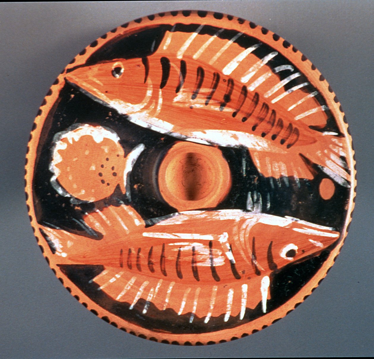 Talerz przedstawiający dwie ryby, 350 pne (ceramiczny) autorstwa Greek