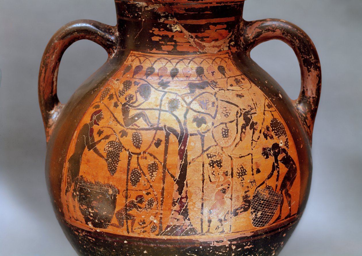 Amfora w stylu rodyjskim przedstawiająca zbiór winogron (ceramiczna) autorstwa Greek