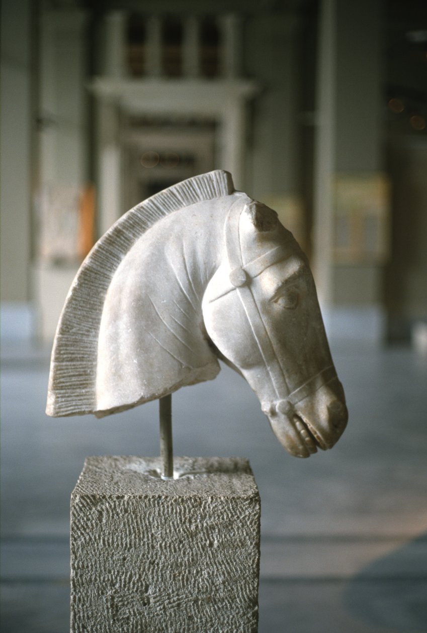 Głowa konia (marmur) autorstwa Greek