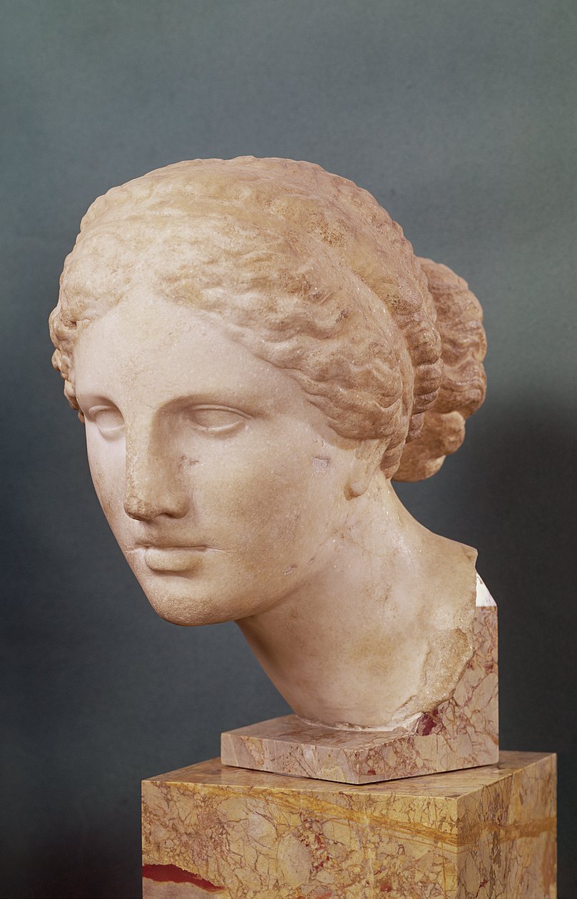 Głowa Kauffmanna, Głowa Afrodyty, kopia Afrodyty z Knidos autorstwa Praksytelesa (fl.375-40 pne) ok.150 pne (marmur) autorstwa Greek