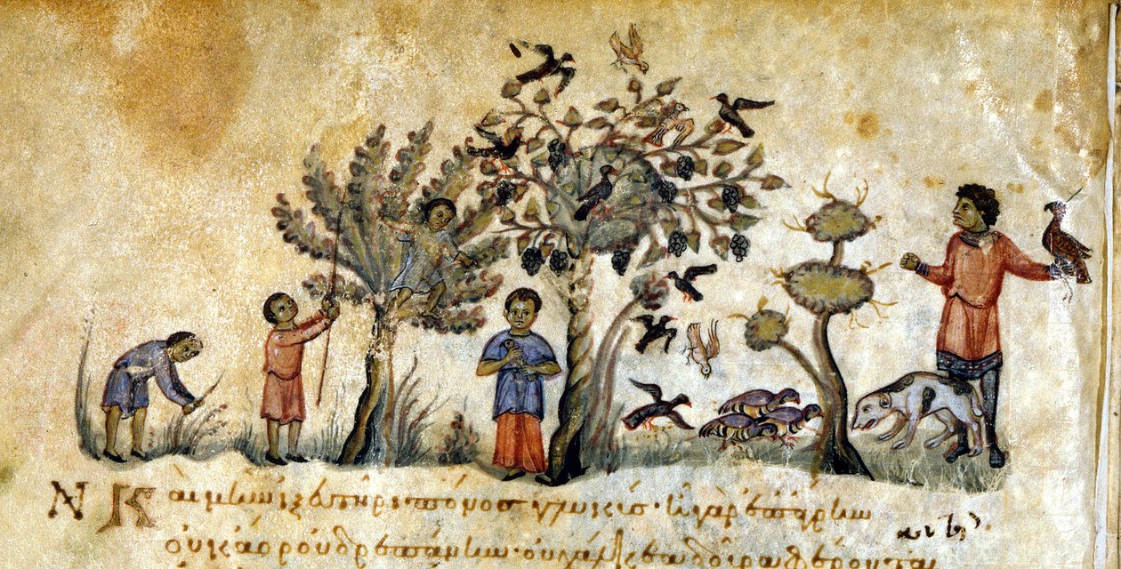 Polowanie z sokołami na ptaki – w „De Venatione” Oppianusa, rękopis grecki z XIII wieku. Biblioteca Marciana. Wenecja autorstwa Greek School