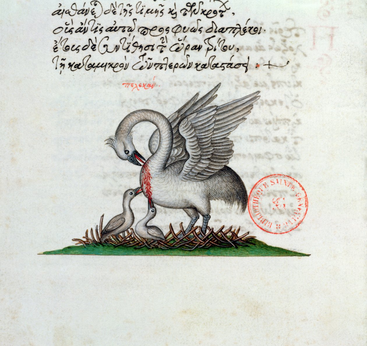 Ms 3401 Pelikan przebijający pierś, by nakarmić młode, z bestiariusza Manuela Philesa, 1566 autorstwa Greek School