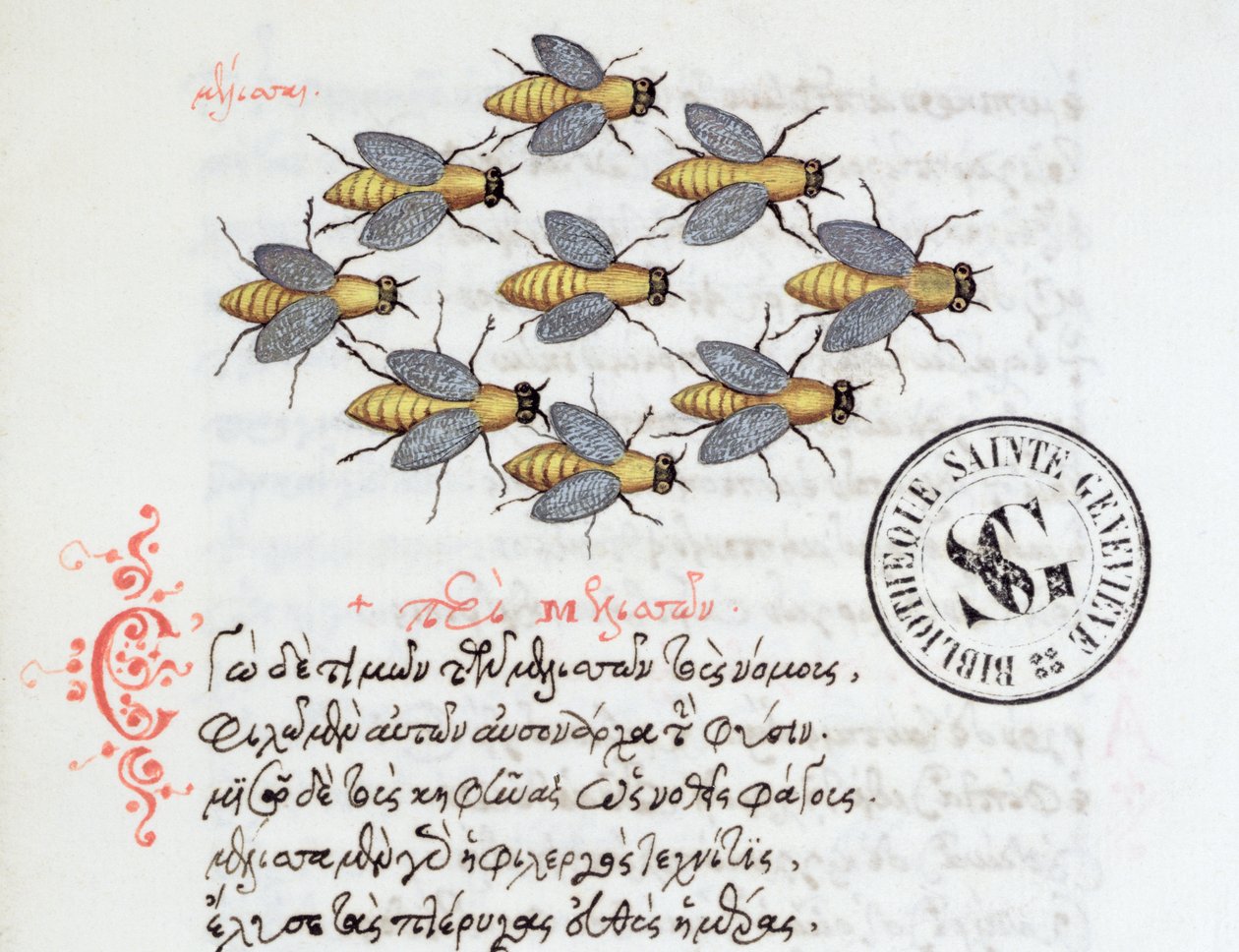Ms 3402 Pszczoły, z Bestiariusza Manuela Philesa, 1566 autorstwa Greek School