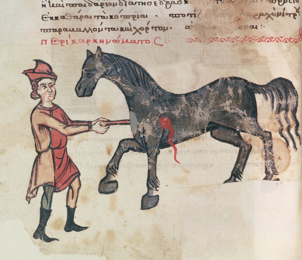 Pani Grec 2244 fol.37v Operująca na koniu autorstwa Greek School