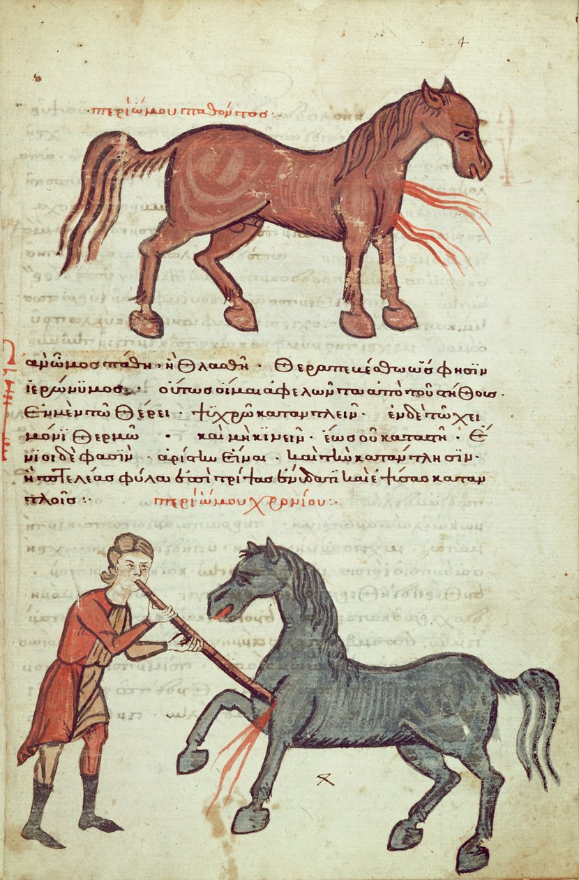 Pani Grec 2244 fol.4 Operacja na koniu autorstwa Greek School