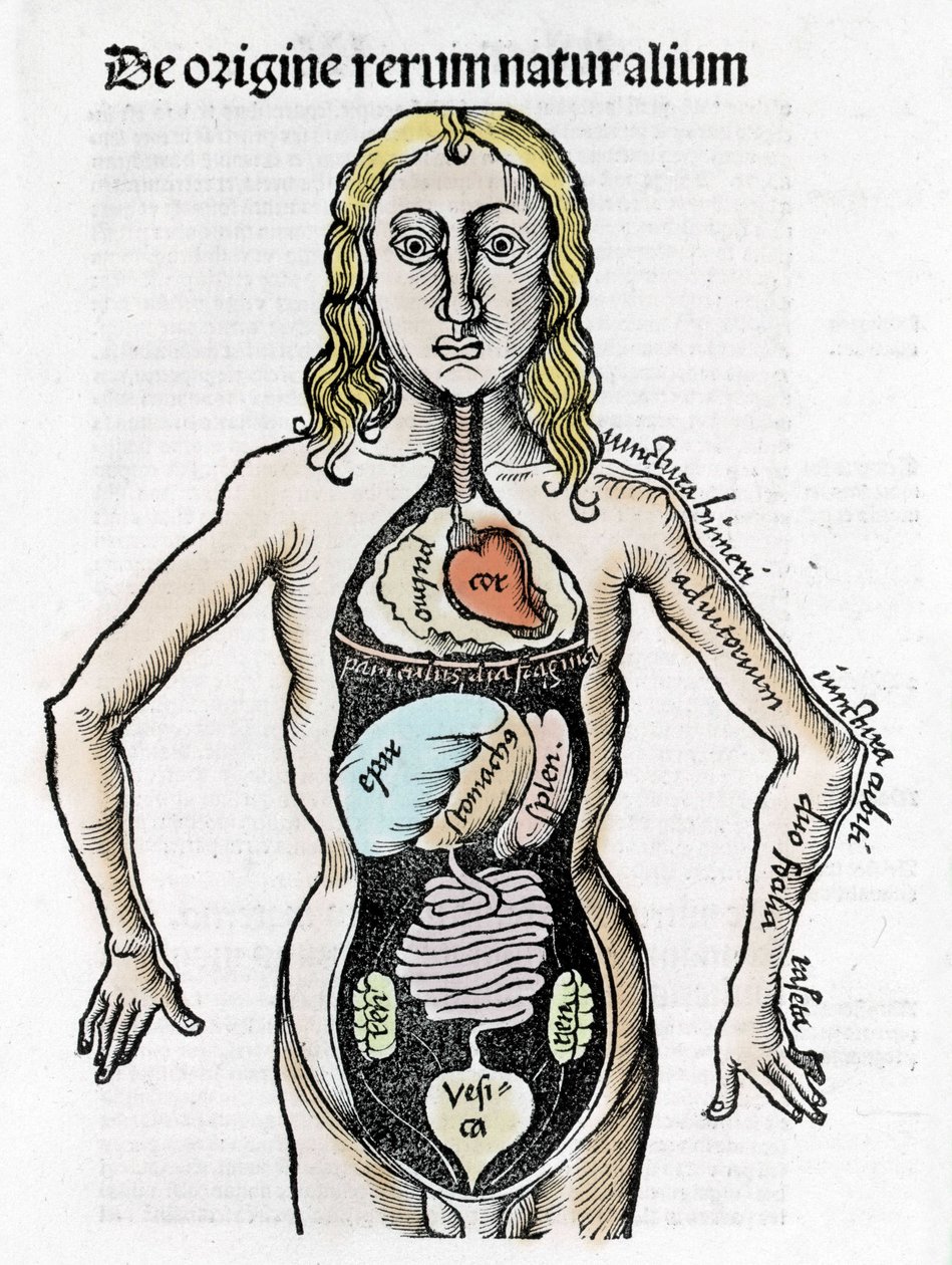 Gregor Reisch (1467-1525), Bale 1517 - Margaret of Philosophica (1467-1525), Bale autorstwa Gregor Reisch