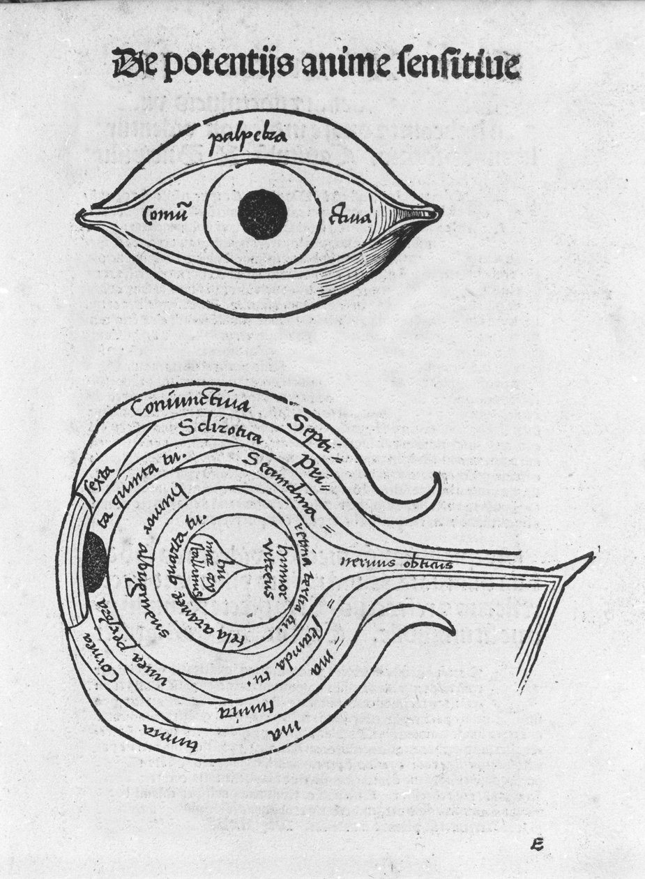 Badanie ludzkiego oka. Tablica anatomiczna z „The Philosophical Daisy” Gregora Reischa (1467-1525), Bale autorstwa Gregor Reisch
