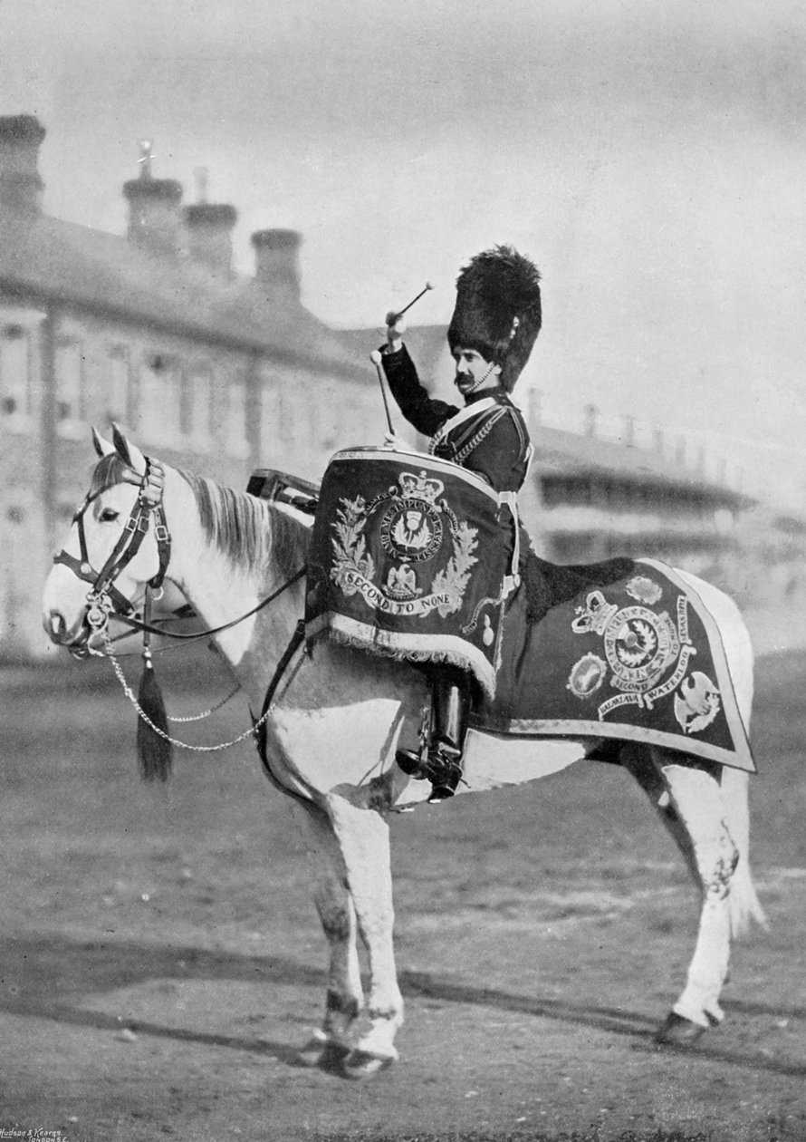 Plum Duff, bęben-koń Royal Scots Greys, 1896 autorstwa Gregory and Co