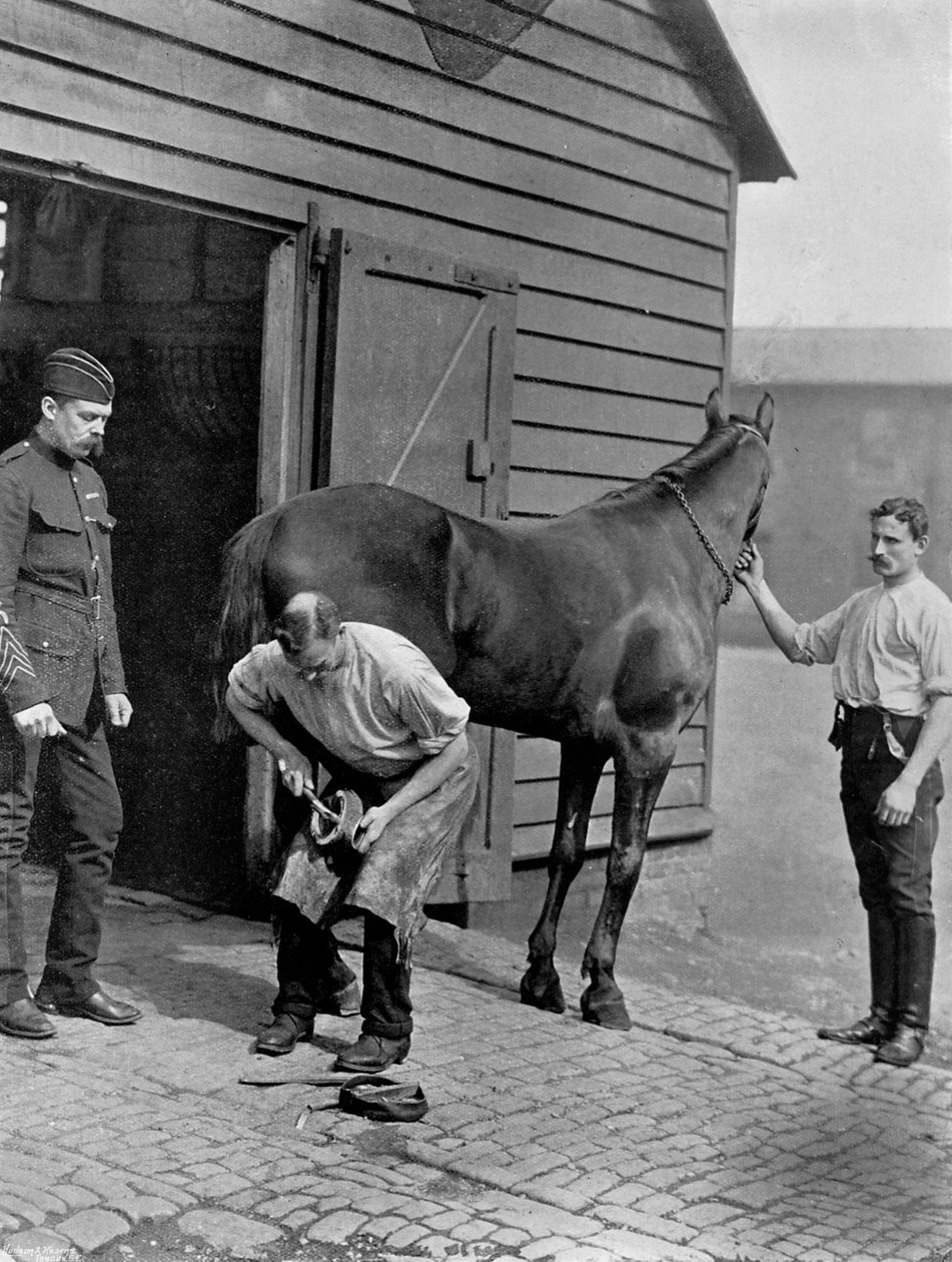 Kowal-Major Królewskiej Gwardii Konnej, 1896 r. autorstwa Gregory and Co