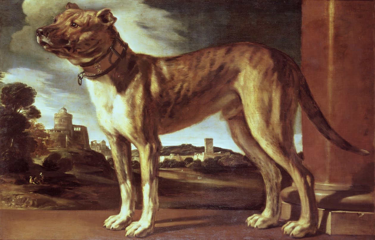Portret psa autorstwa Giovanni Francesco Barbieri