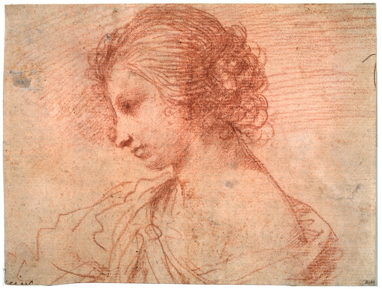 Portret młodej kobiety z piersi, XVII w. autorstwa Guercino