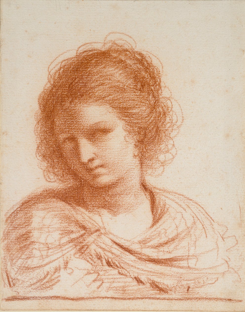 Głowa młodej kobiety, 1550-1666 autorstwa Guercino
