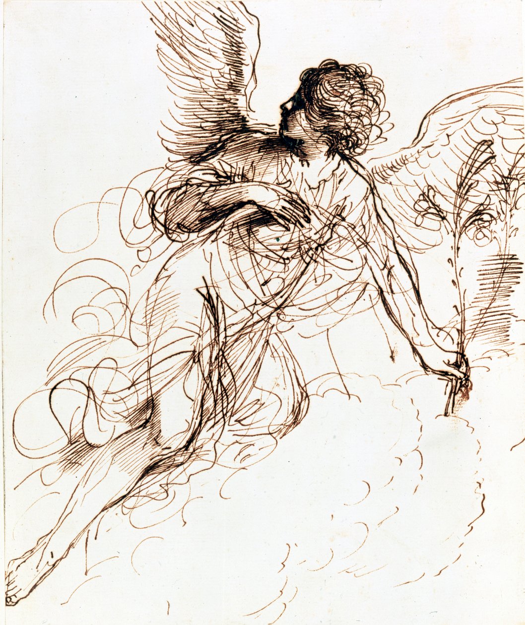 Studium Anioła, c1611-1666 autorstwa Guercino