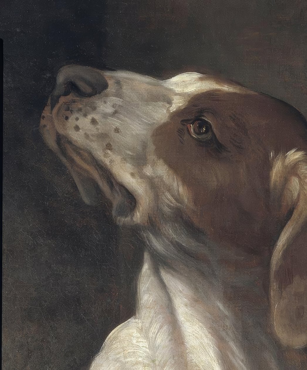 Święty Roch w więzieniu, pocieszony przez anioła autorstwa Guido Reni