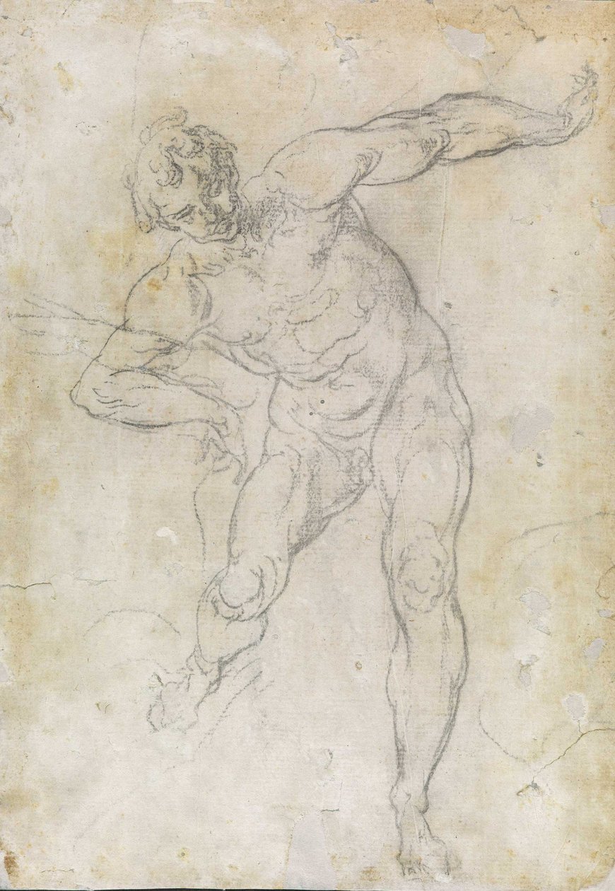 Mężczyzna nago studium autorstwa Guido Reni