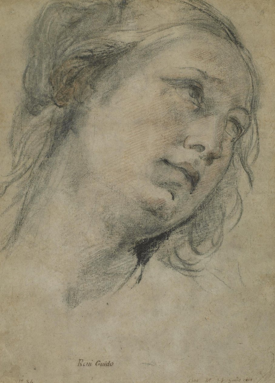 Głowa młodej kobiety patrzącej w górę autorstwa Guido Reni