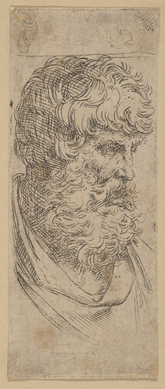 Popiersie brodatego mężczyzny, ca. 1600-1640. autorstwa Guido Reni