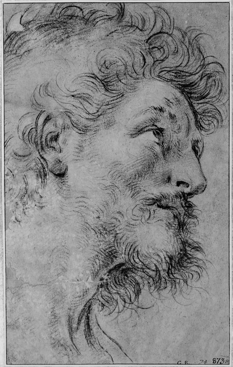 Studium głowy świętego Kryspina autorstwa Guido Reni