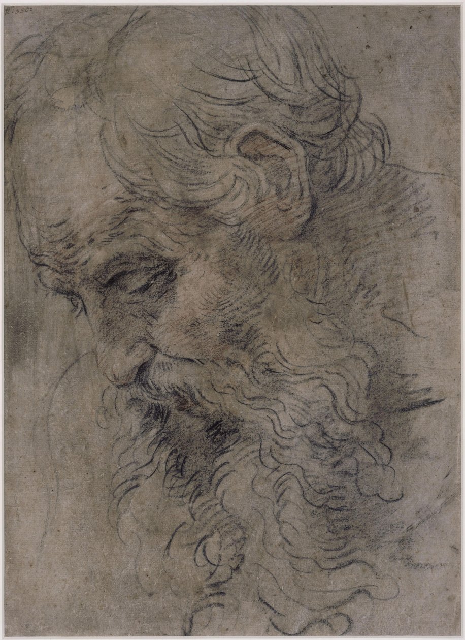 Głowa świętego Pawła Pustelnika autorstwa Guido Reni