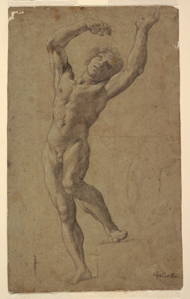 Studium dla św. Sebastiana, Muzeum Pomarici Santomasi, Apulia, Włochy autorstwa Guido Reni