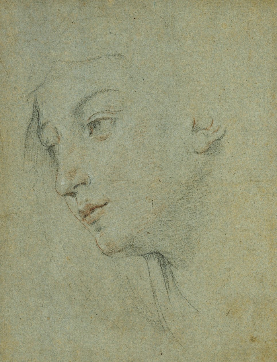 Głowa kobiety patrzącej w lewo, autorstwa Guido Reni