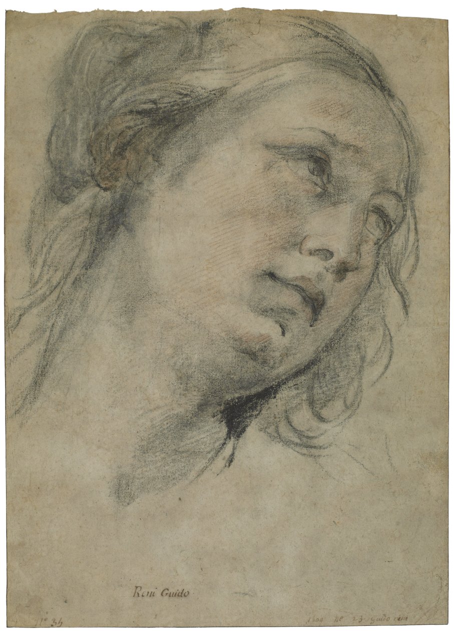 Głowa młodej kobiety patrzącej w górę, ok. 1609 (czarno-czerwona kreda z akcentami białej kredy na brązowym papierze wykładanym) autorstwa Guido Reni