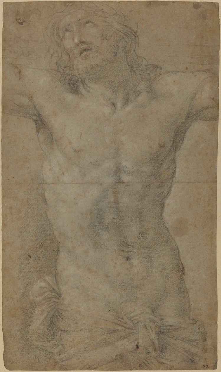 Tułów Chrystusa na krzyżu autorstwa Guido Reni