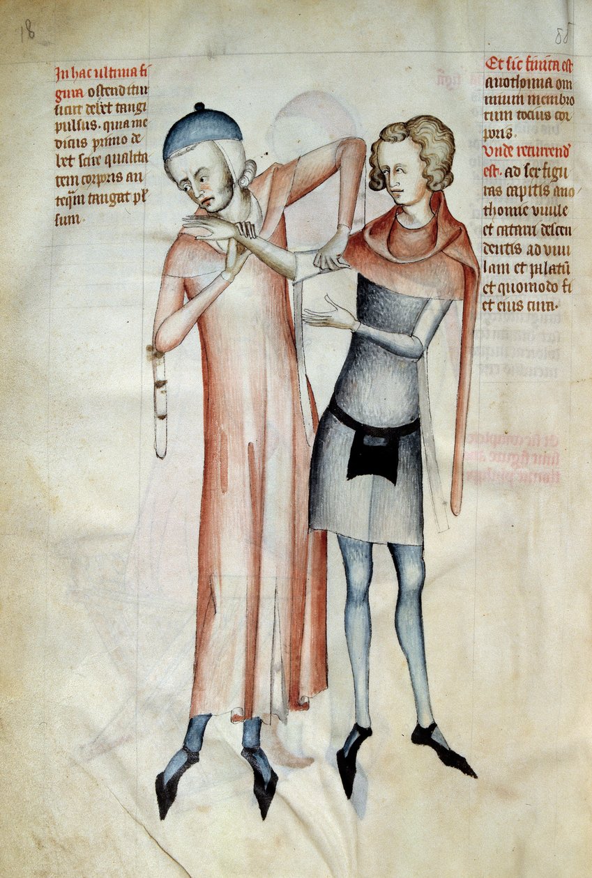 Chirurgia: lekarz badający stawy pacjenta poprzez wyciągnięcie ręki (Osteopata). Miniatura w „Liber notables Filippi siódmy król Franków, wydobyty z ksiąg Galien” napisany przez Gui (Guy) z Pawii autorstwa Guido da Vigevano da Pavia