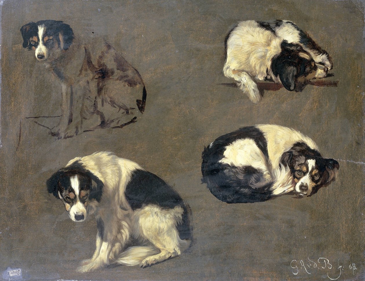 Cztery badania psa autorstwa Guillaume Anne van der Brugghen