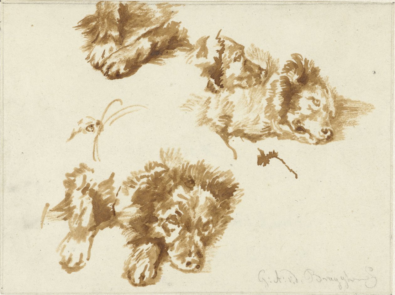 Badania psa autorstwa Guillaume Anne van der Brugghen
