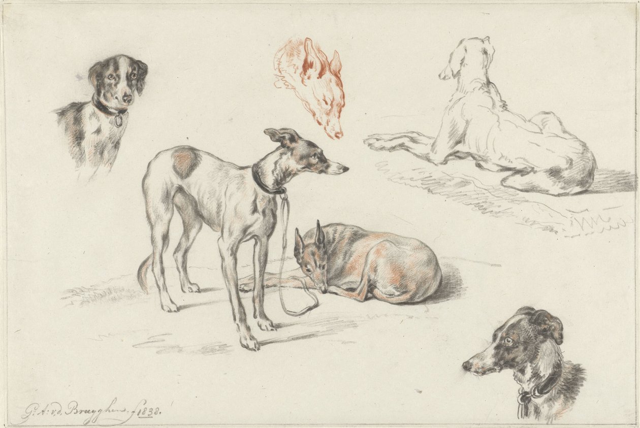 Badania psów autorstwa Guillaume Anne van der Brugghen