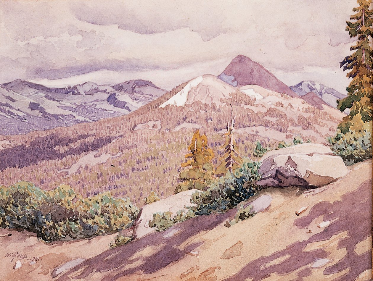 Wysoka Sierra autorstwa Gunnar Widforss