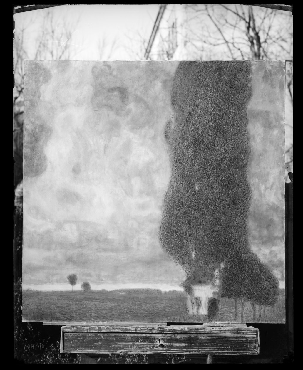 Koje cottonwood II (wznosząca się burza) autorstwa Gustav Klimt