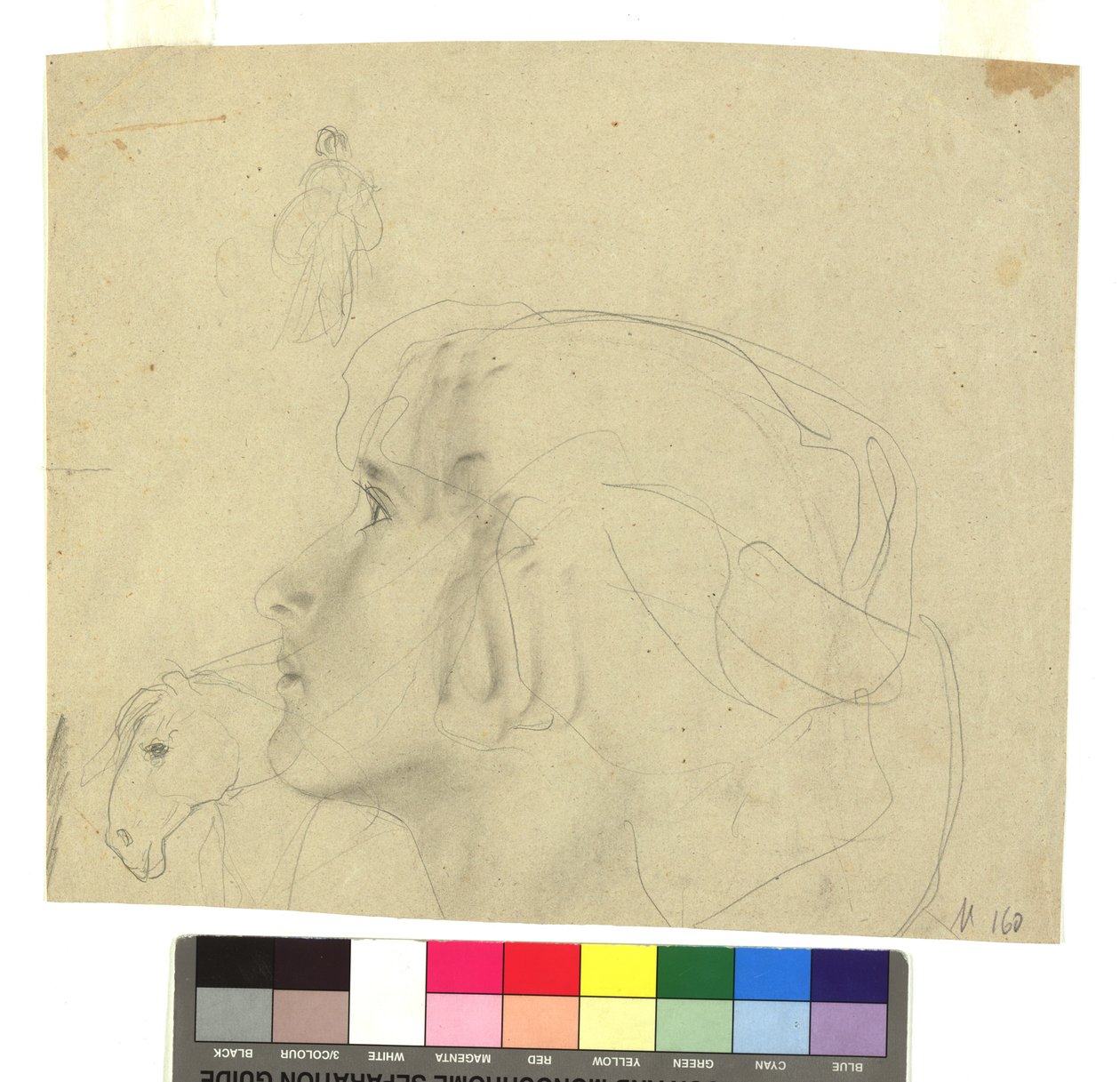 Weiblicher Kopf im Profil nach links, Pferdekopf im Profil, Figurenstudie autorstwa Gustav Klimt