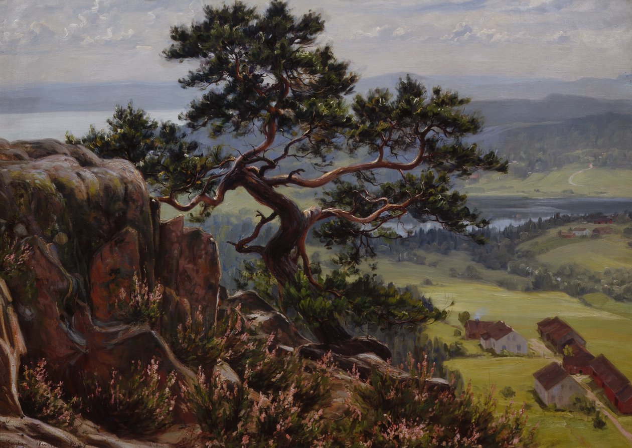 Widok na Vardåsen autorstwa Gustav Wentzel