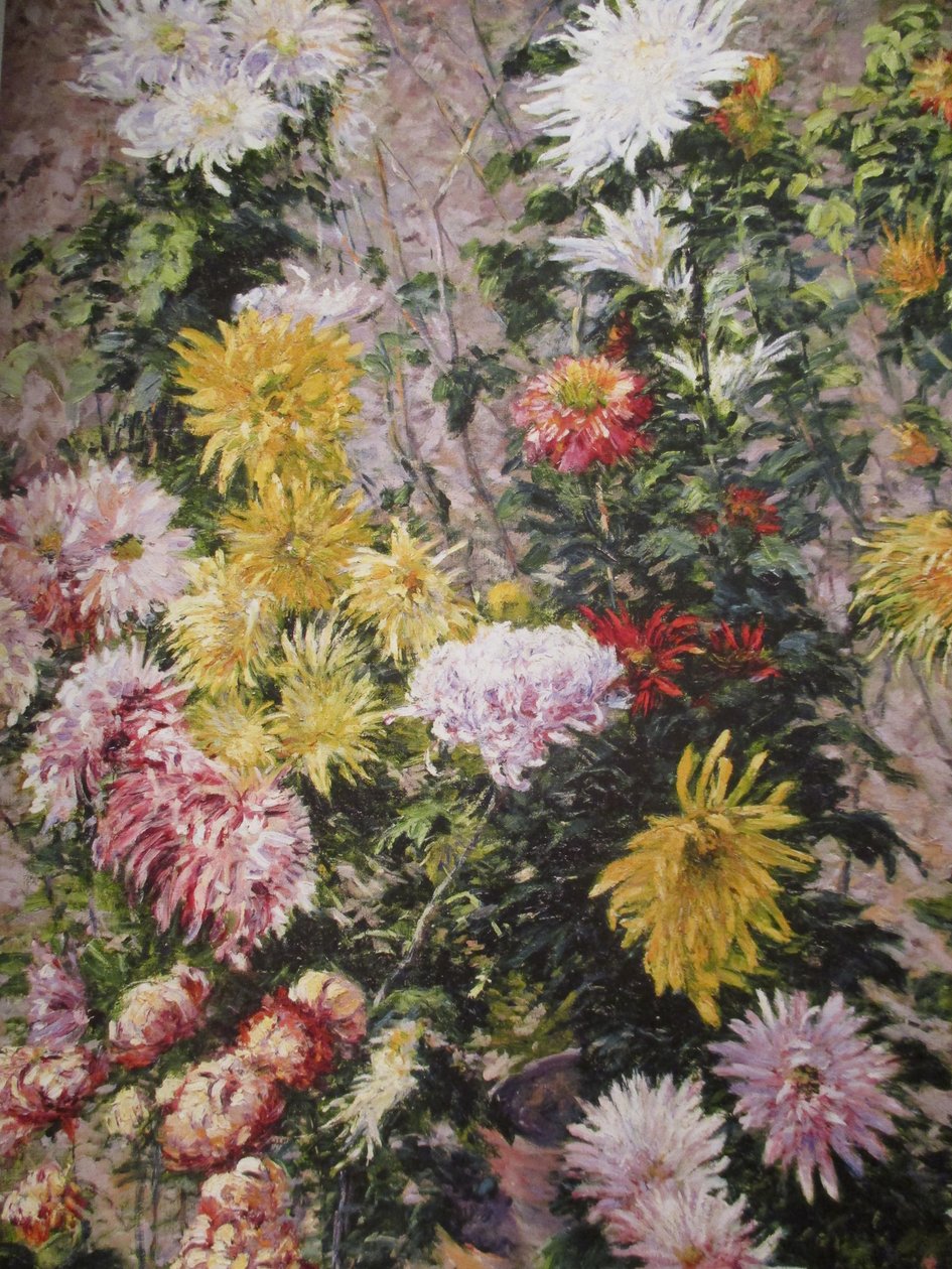 Białe i żółte chryzantemy autorstwa Gustave Caillebotte