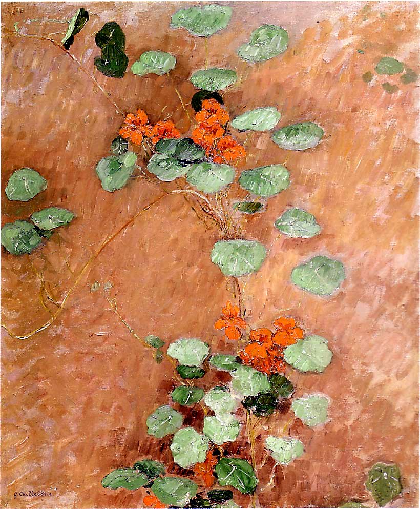 Nasturci autorstwa Gustave Caillebotte