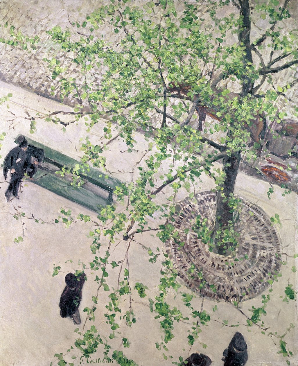 Bulwar widziany z góry, 1880 autorstwa Gustave Caillebotte