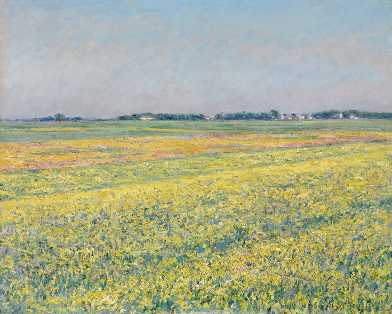 Równina Gennevillierów, żółte pola autorstwa Gustave Caillebotte