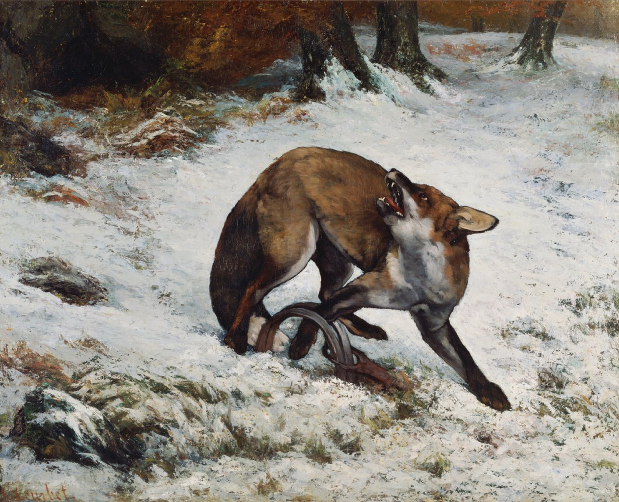Lis złapany w pułapkę autorstwa Gustave Courbet