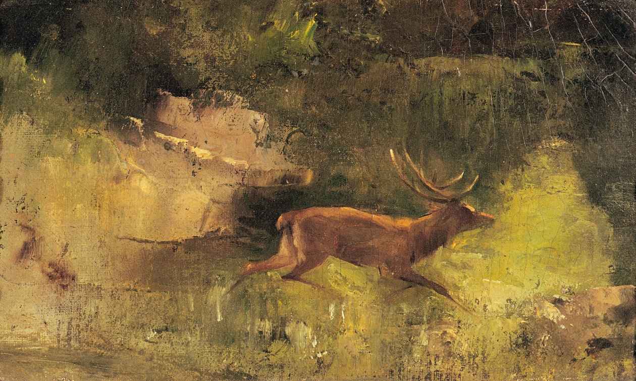 Jeleń biegnący przez las, ok.1865 autorstwa Gustave Courbet