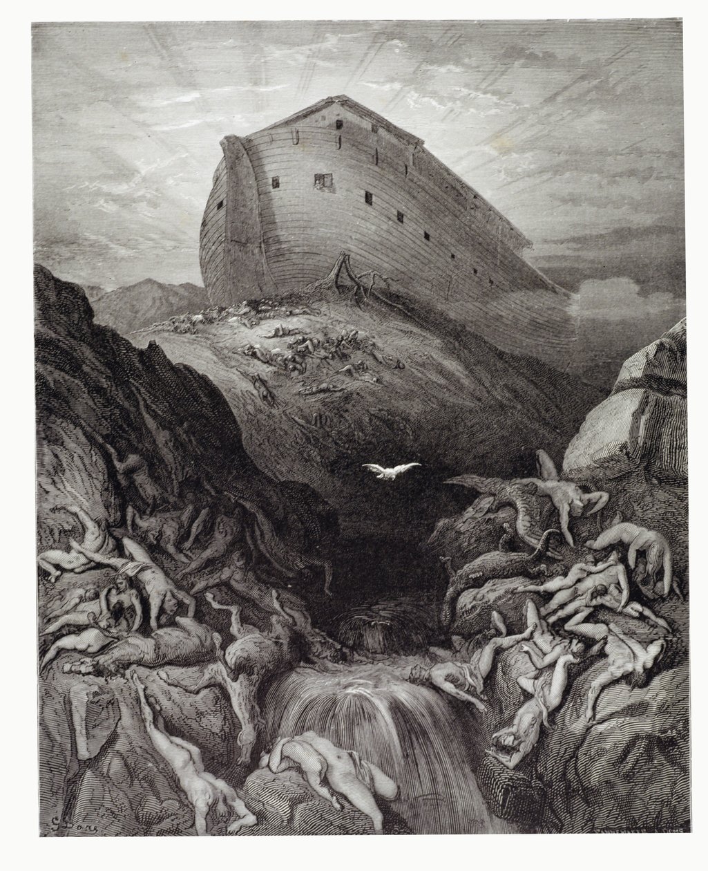 Gołąb wysłany z arki, rytowany przez Stephane Pannemakera (1847-1930) c.1868 autorstwa Gustave Dore