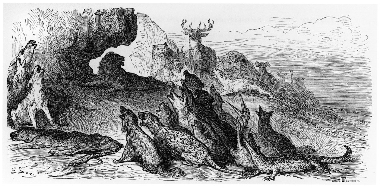 Pogrzeb lwicy, ilustracja z „Bajek” Jeana de La Fontaine (1621-95) Paryż, wydana w 1868 r., sztychowana przez Fourniera autorstwa Gustave Dore