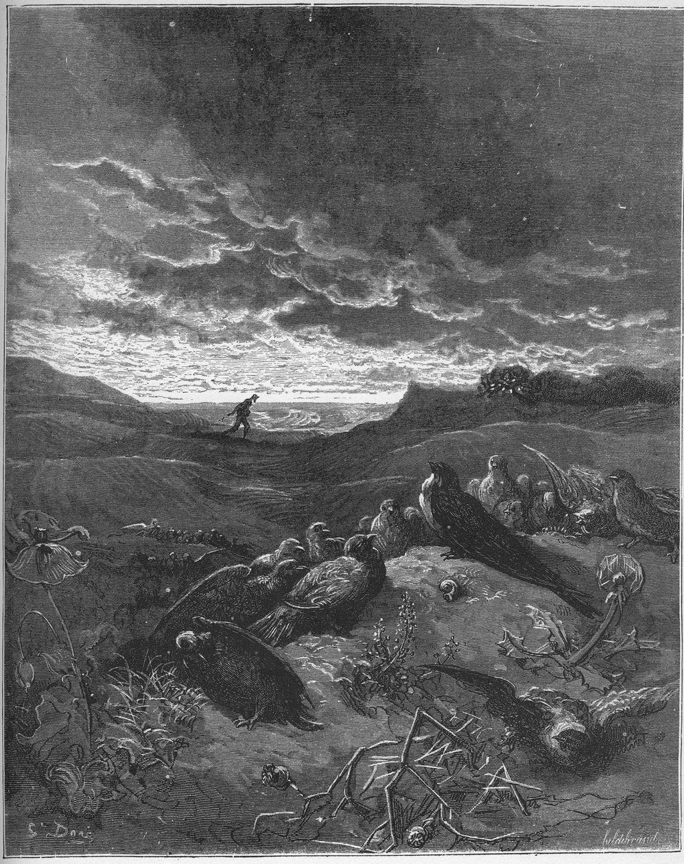 Jaskółka i ptaszki - Jaskółka i ptaszki - z "Bajek" Jeana de La Fontaine (Lafontaine) (1621-95) - rycina wg Gustave