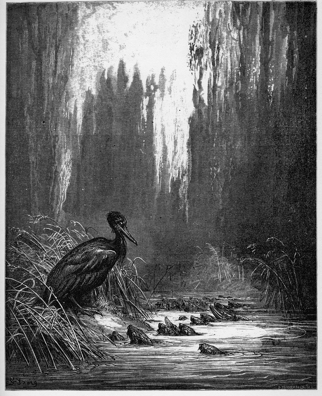 ryba i kormoran - ryba i kormoran - z "Bajek" Jeana de La Fontaine (Lafontaine) (1621-95) - grawer wg Gustave
