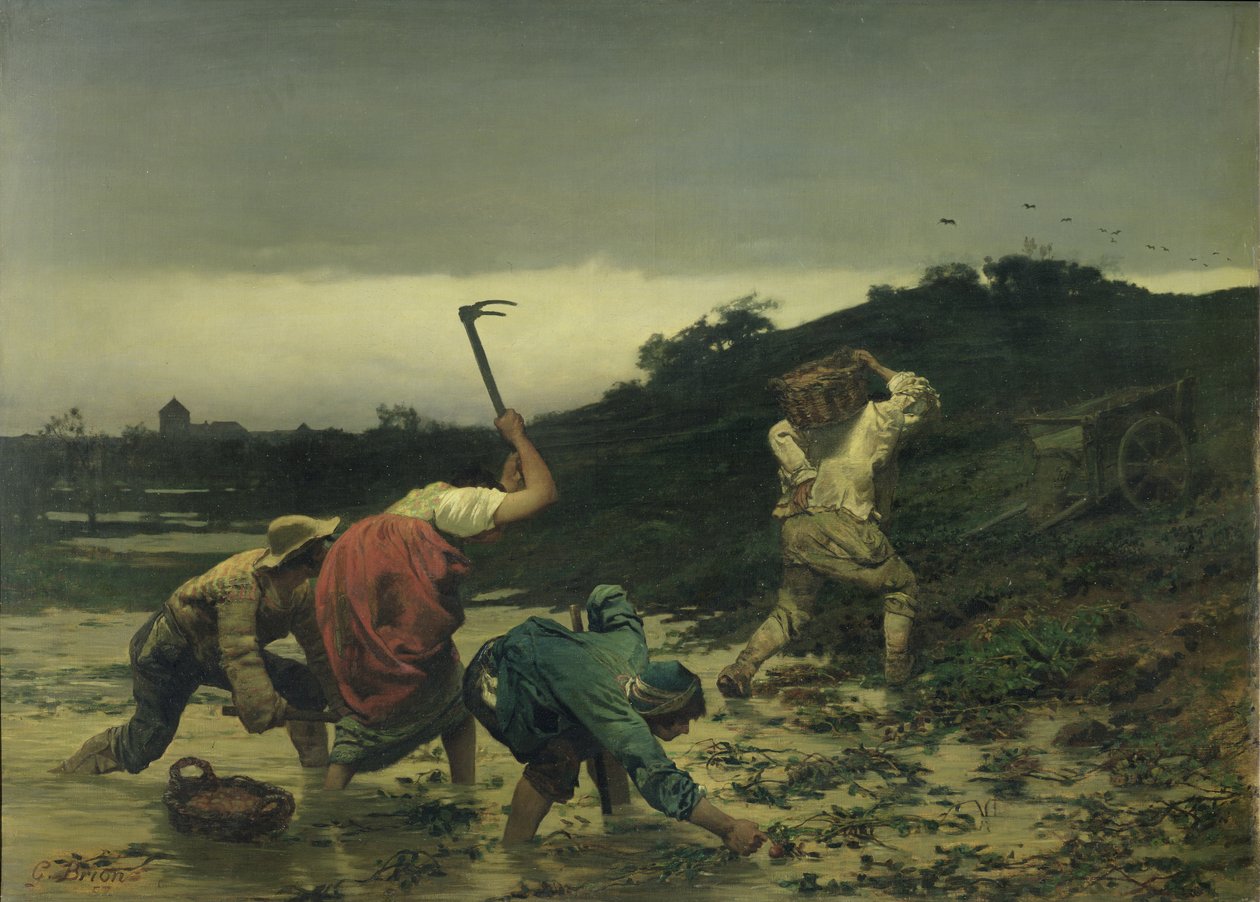 Chłopi zbierający ziemniaki podczas wylewu Renu w 1852 r. autorstwa Gustave Brion
