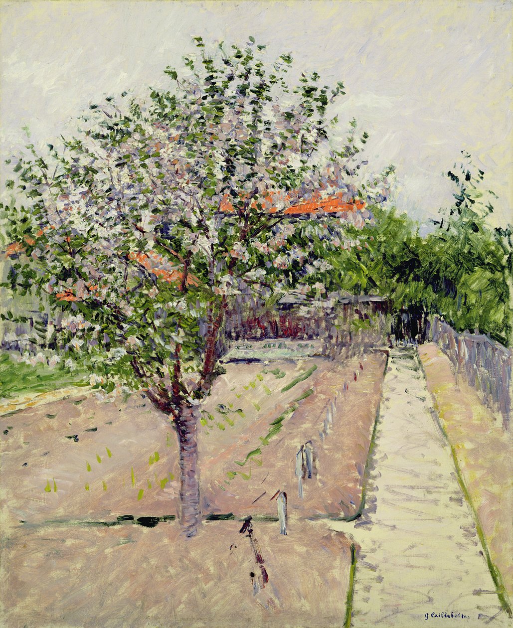 Kwitnąca jabłoń, ok. 1885 r. autorstwa Gustave Caillebotte