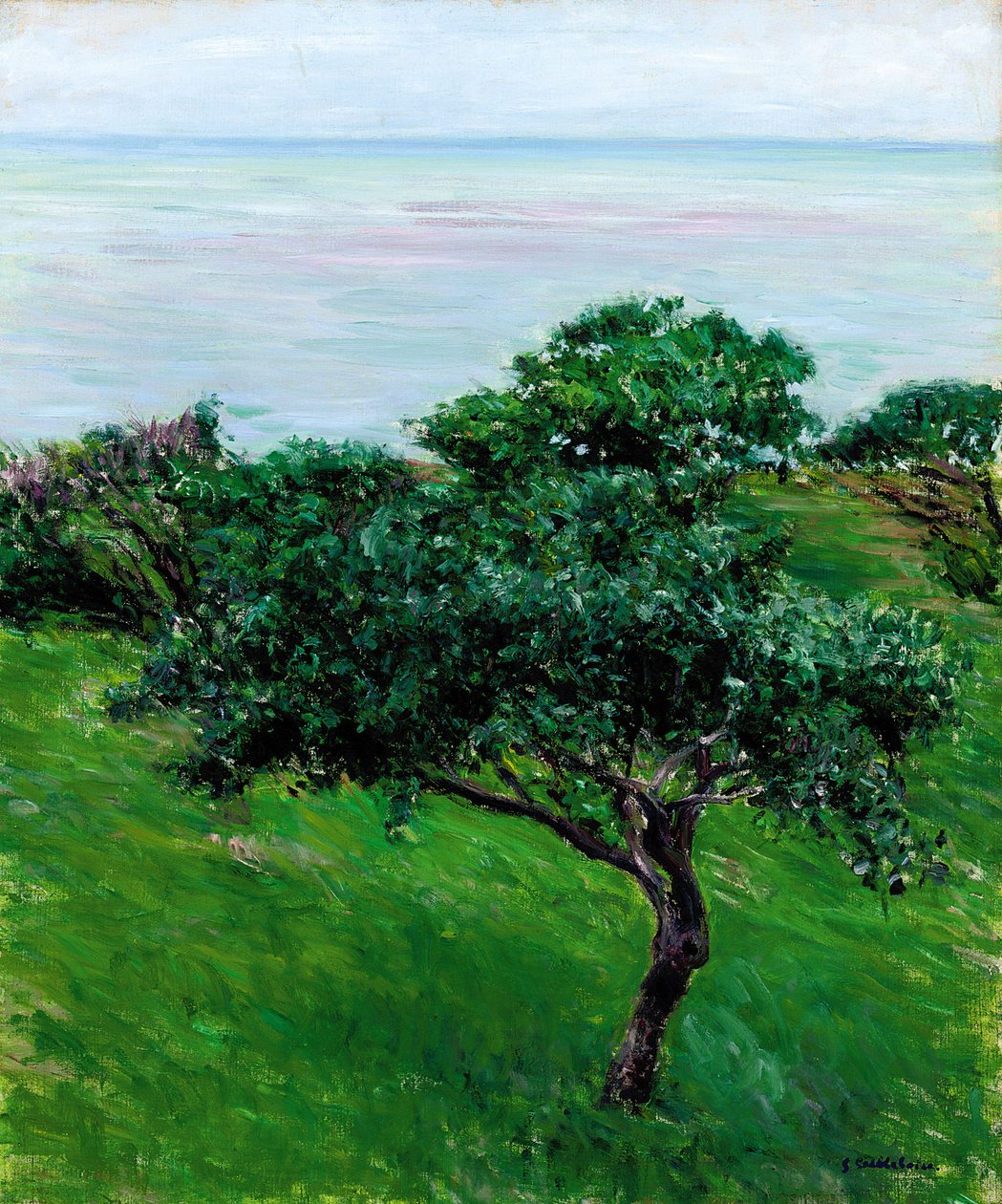 Jabłonie nad morzem, Trouville, 1880 autorstwa Gustave Caillebotte